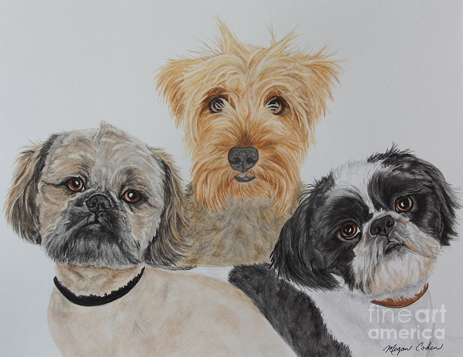 Dog Painting - Three Amigos by Megan Cohen