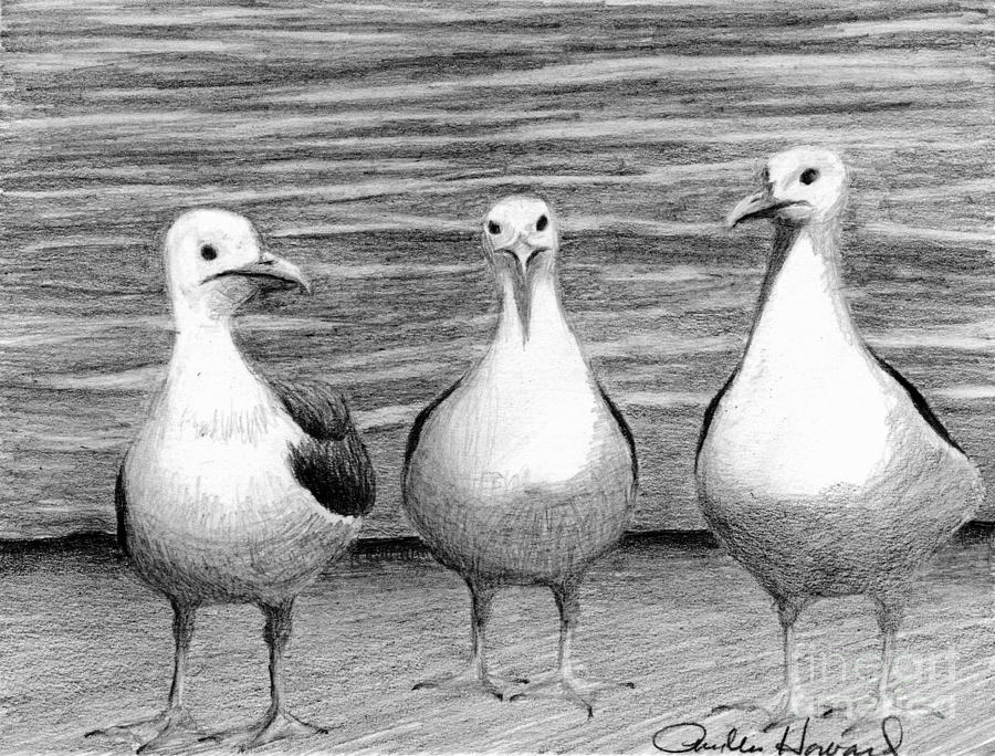 Bird Drawing - Three Amigos by Phyllis Howard