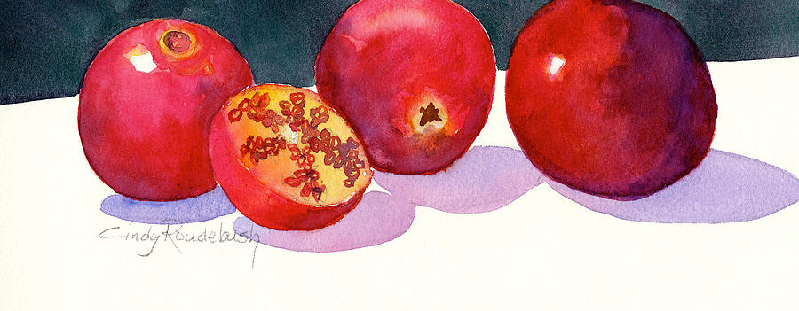 Still Life Painting - Three and a half pomegranates by Cynthia Roudebush