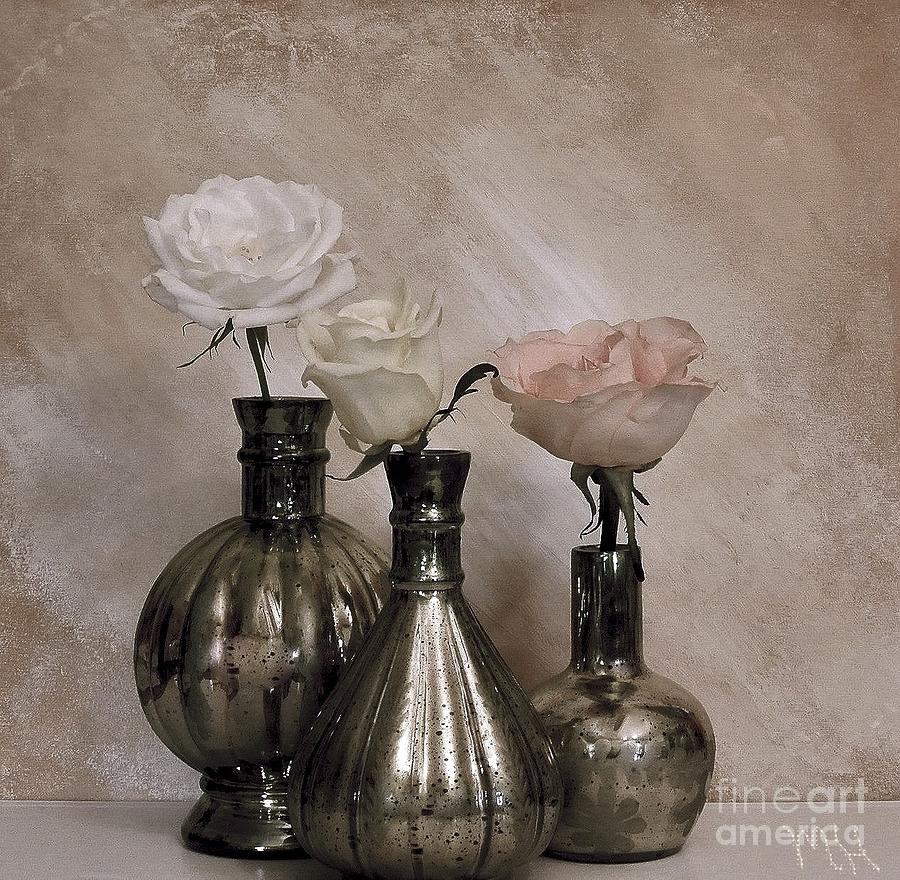 Digital Photograph - Three Antique Roses in Mercury Glass by Marsha Heiken