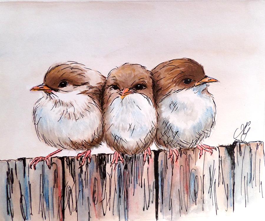 Three baby Fairy Wrens Painting by Anne Gardner
