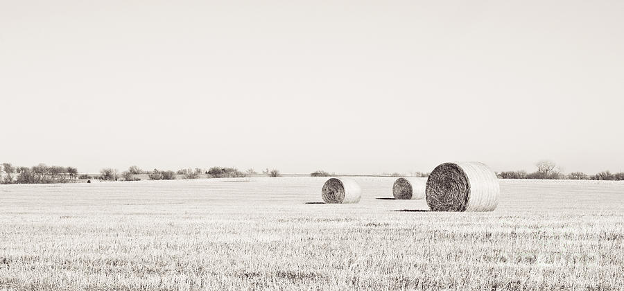 Three Bales Black and White Photograph by Pam  Holdsworth