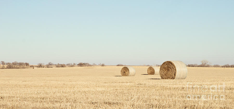 Three Bales Color Photograph by Pam  Holdsworth