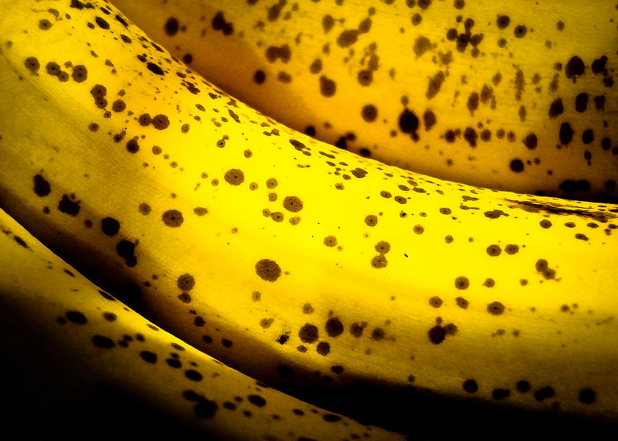 Three Bananas Photograph by Ronda Broatch