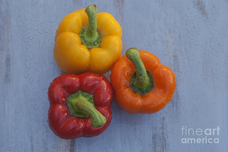 Three bell peppers Photograph by Vishwanath Bhat