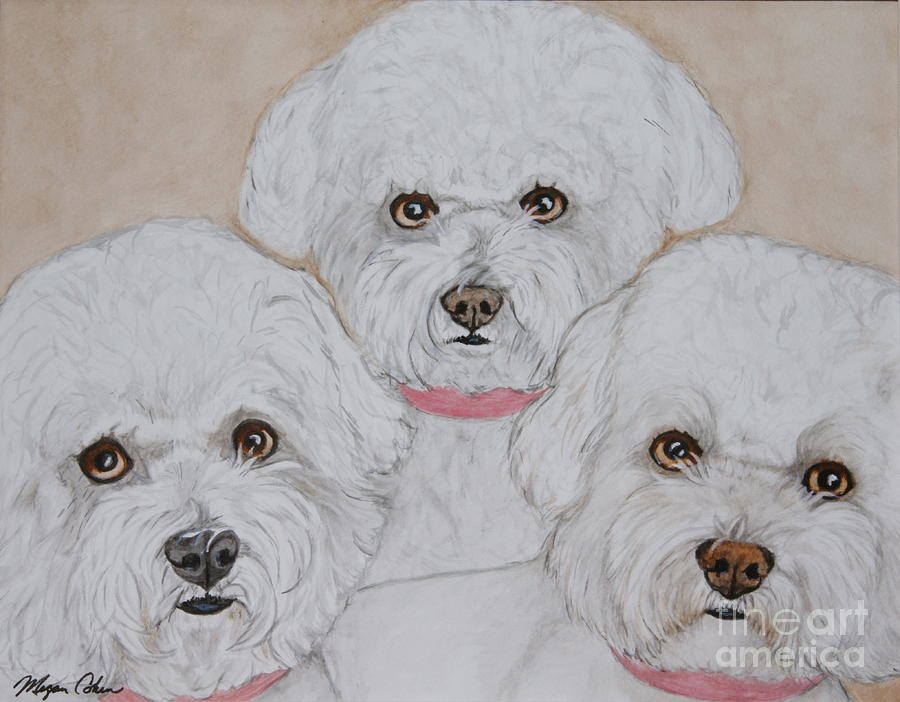 Three Bichons Painting by Megan Cohen - Fine Art America