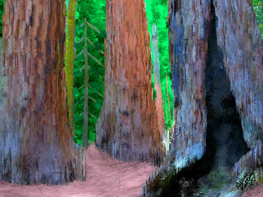 Three Big Sequoias Painting by Bruce Nutting