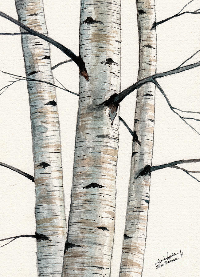 Three Birch Trees number two Painting by Christopher Shellhammer