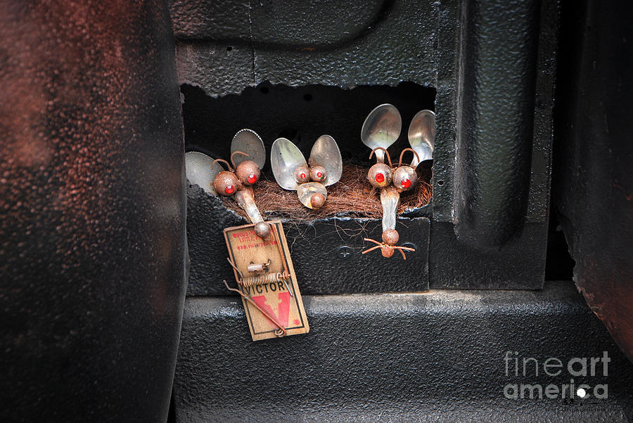 Three Blind Mice Photograph by Grace Grogan