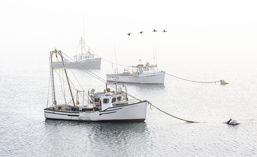 Three Boats Moored in Soft Morning Fog  Photograph by Marty Saccone
