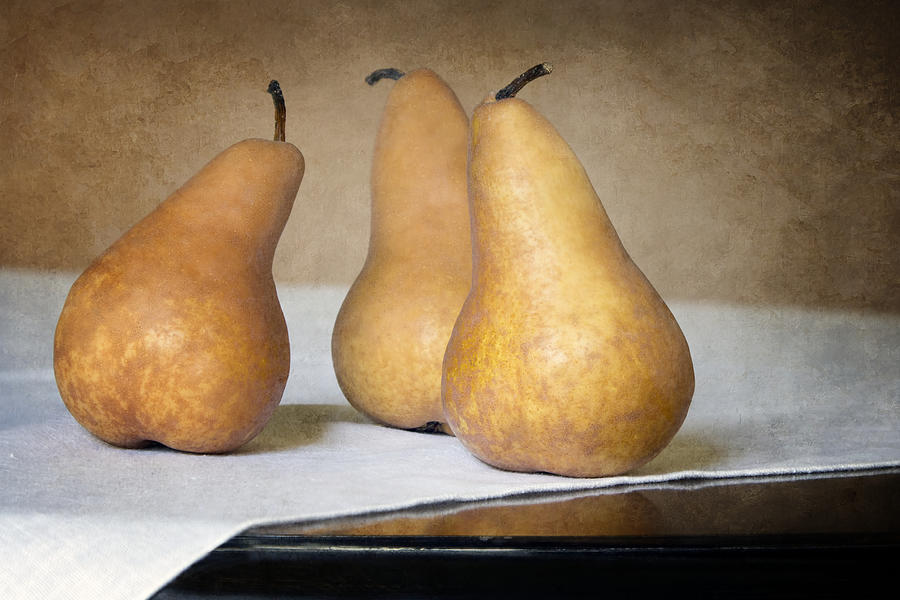 Three Bosc Pears - Traditional Still Life Photograph by Nikolyn McDonald