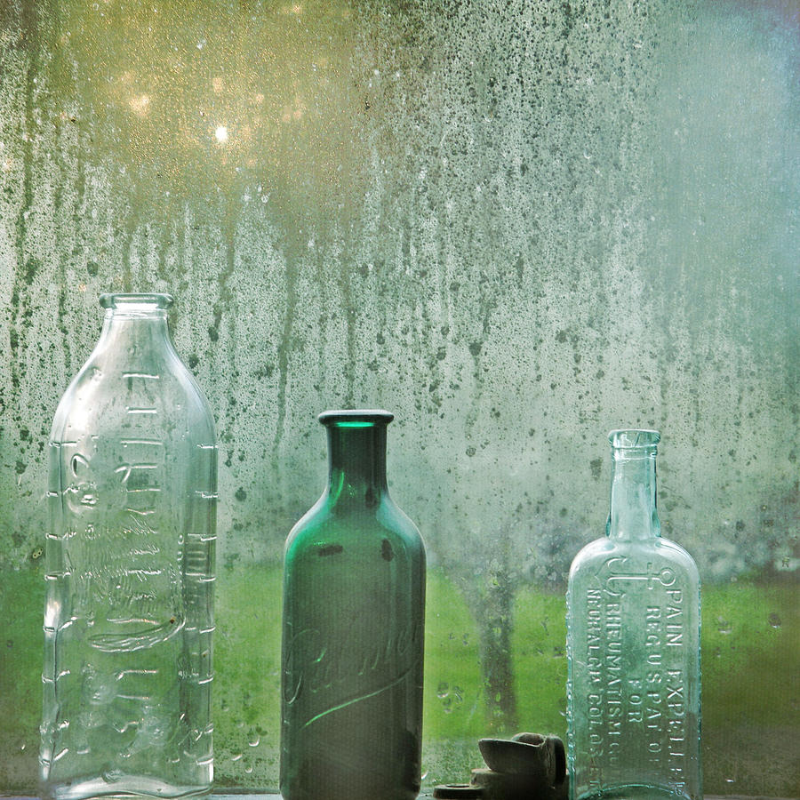 Three Bottles Photograph by Sally Banfill