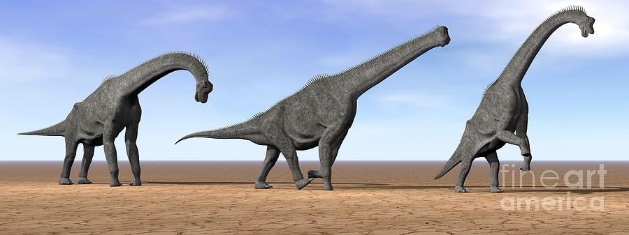Three Brachiosaurus Dinosaurs Standing Digital Art