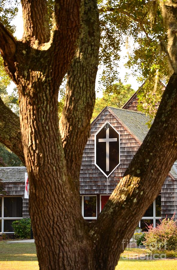 Three Branches Photograph by Bob Sample