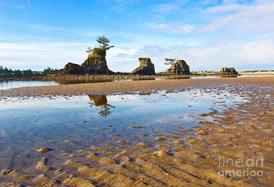 Pebbles Photograph - Three Brothers Rock Formation near the Oregon coast by Jamie Pham