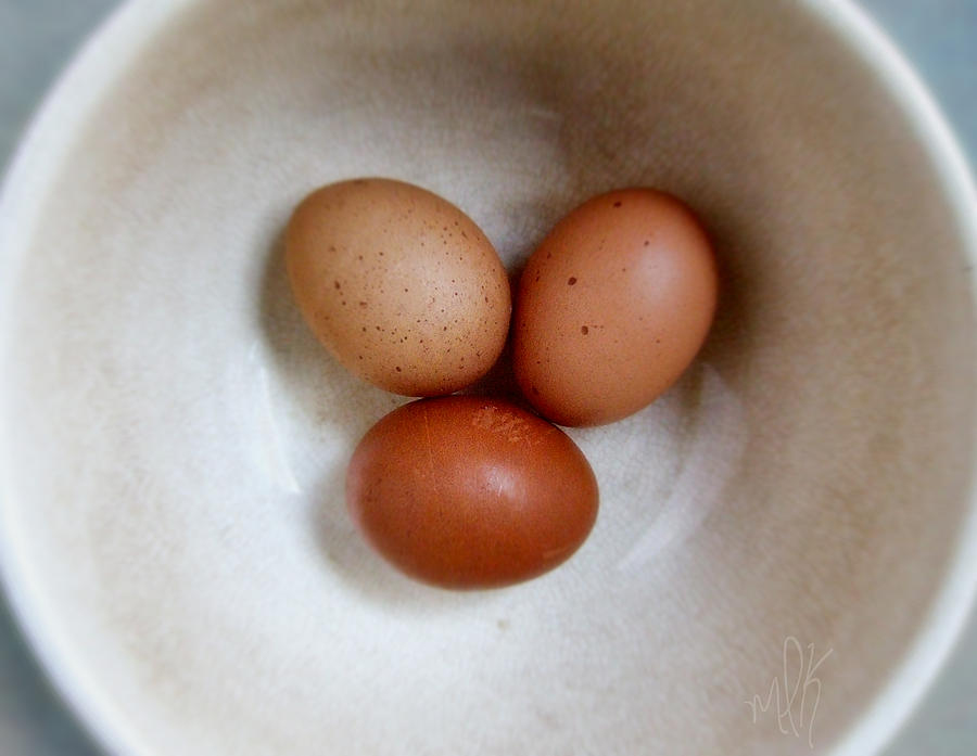 Egg Photograph - Three Brown Eggs by Louise Kumpf