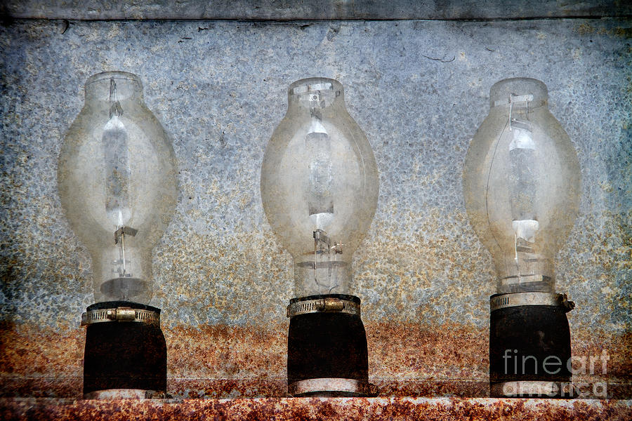 Three Bulbs Photograph by Alice Cahill