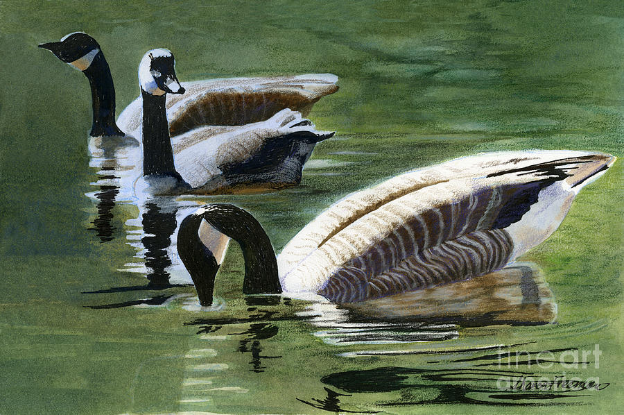 Three Canada Geese Mixed Media by Sharon Freeman - Fine Art America