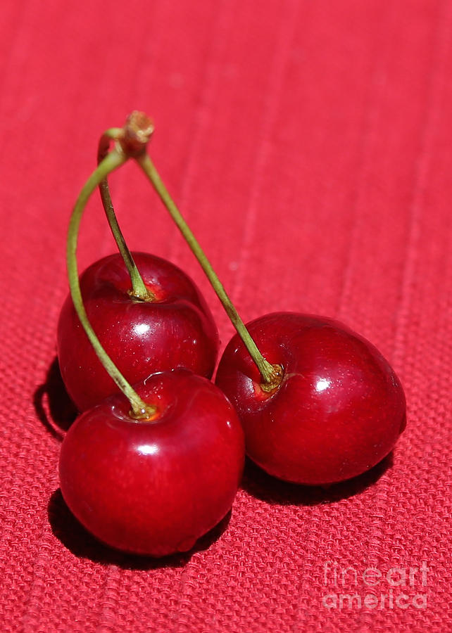 Fruit Photograph - Three Cherries by Carol Groenen