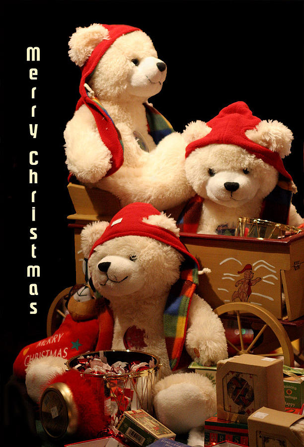 Three Christmas Bears Photograph by Linda Phelps