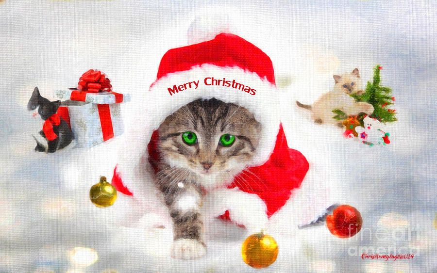 Three Christmas Kittens Painting by Chris Armytage