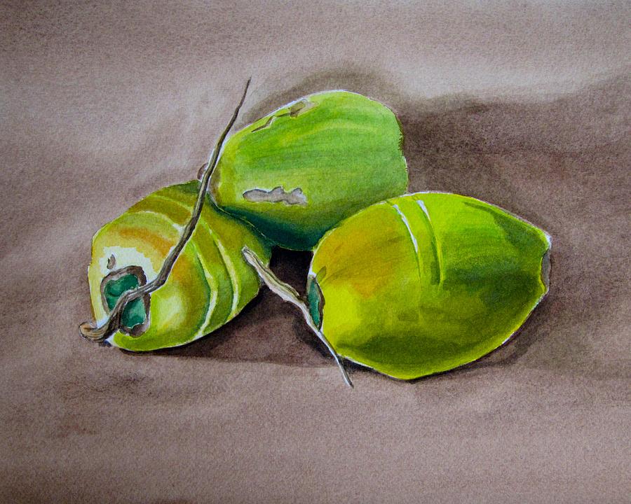 Three Coconuts Painting by Alan Metzger