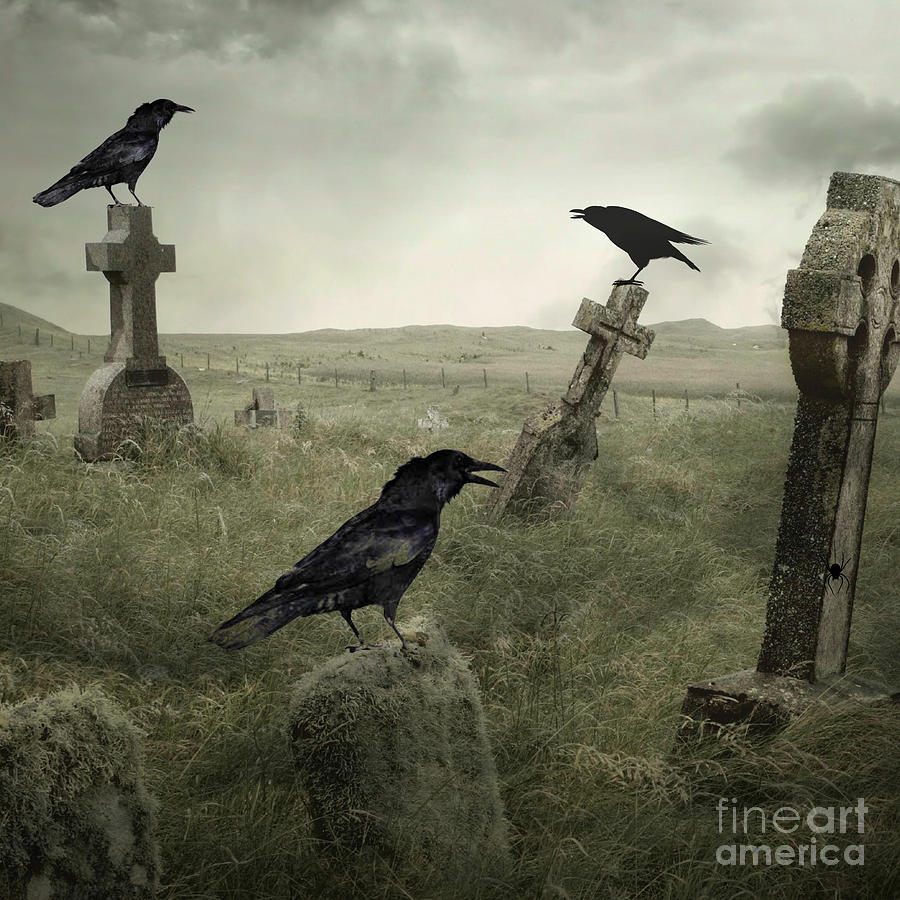 Three Crows Digital Art by Mindy Bench