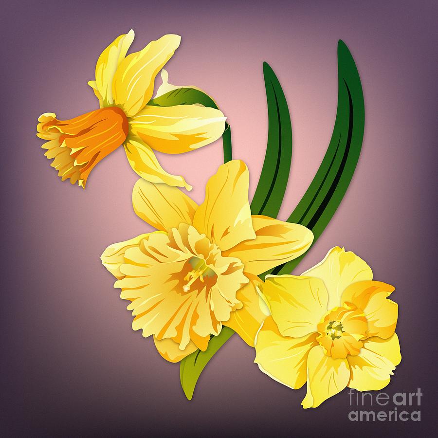 Three Daffodils Digital Art by MM Anderson