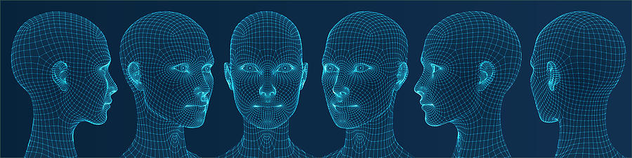 Three dimensional woman heads. Set. Ware mesh from 3d app. Drawing by A-r-t-i-s-t