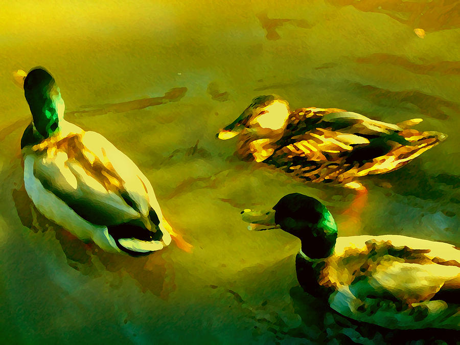 Three Ducks on Golden Pond Painting by Amy Vangsgard