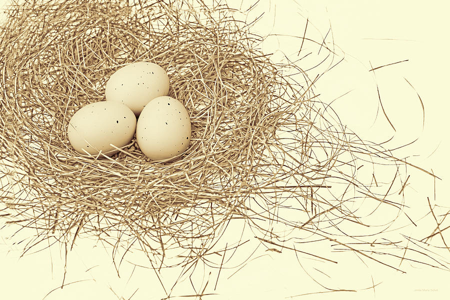 Three Eggs in a Nest Farm Brown Photograph by Jennie Marie Schell