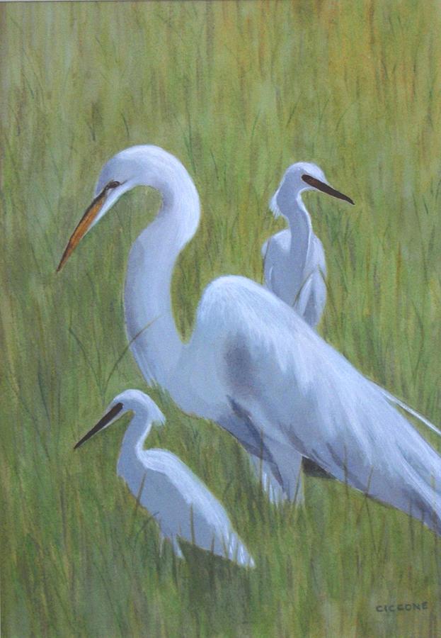 Three Egrets  Painting by Jill Ciccone Pike