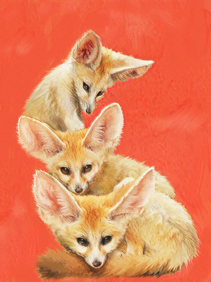 Three Fennec Foxes Digital Art By Jane Schnetlage Fine Art America