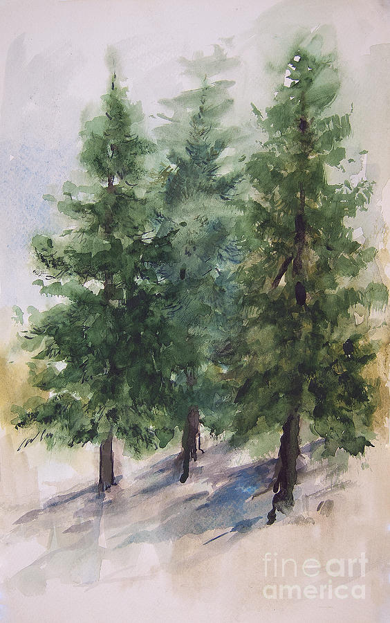 Three Fir Trees Painting by Anthony Coulson