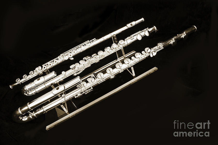 Three Flute Music Instruments Photograph in Sepia  3440.01 Photograph by M K Miller