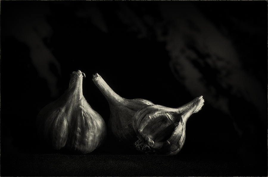 Three garlic in black and white Photograph by Peter V Quenter