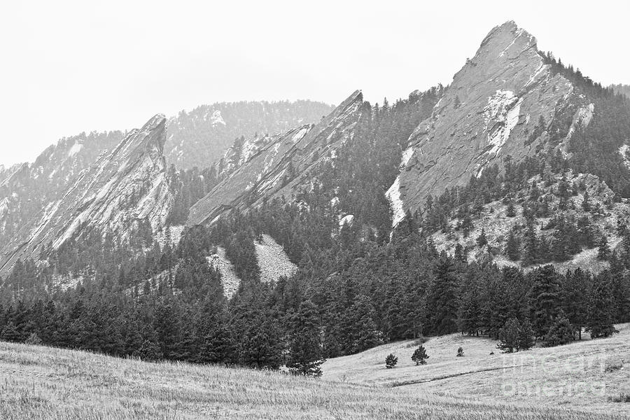 Three Giant Flatirons View Boulder Colorado BW Photograph by James BO Insogna