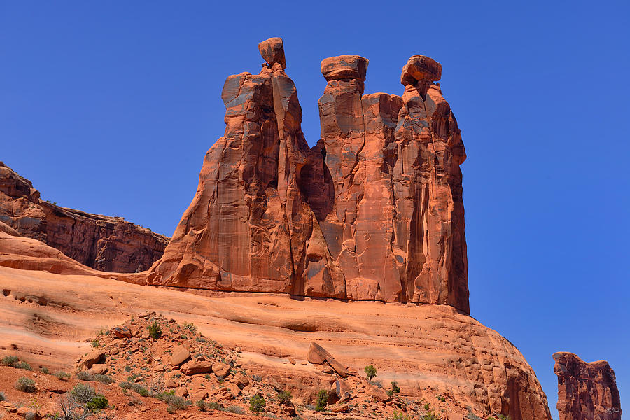 Three Gossips Photograph by Greg Norrell