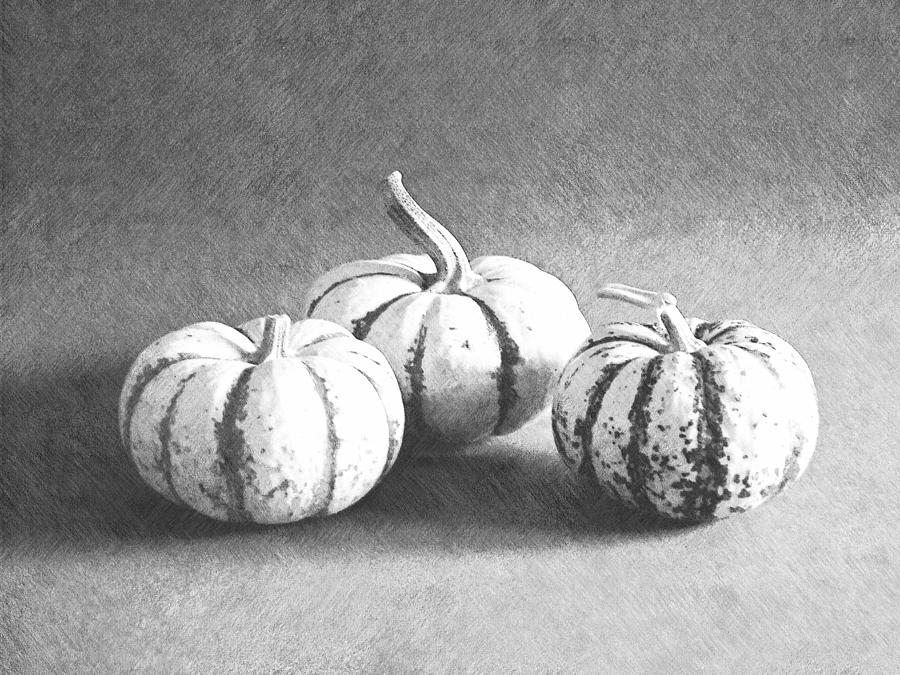 Three Gourds Photograph by Frank Wilson