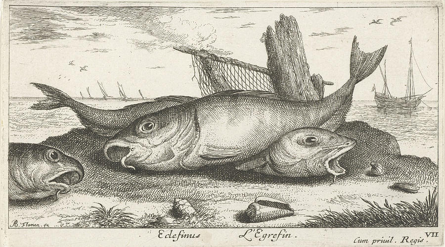 Three Haddock On The Beach, Albert Flamen Drawing By Albert Flamen And 