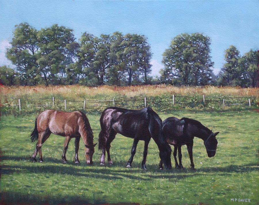 Three horses in field Painting by Martin Davey
