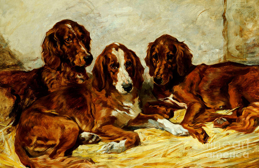 Dog Painting - Three Irish Red Setters by John Emms