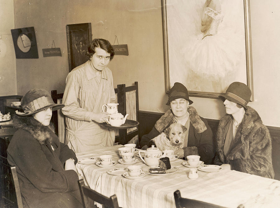 Three Ladies In Fashionable Cloche Photograph by Mary Evans Picture ...