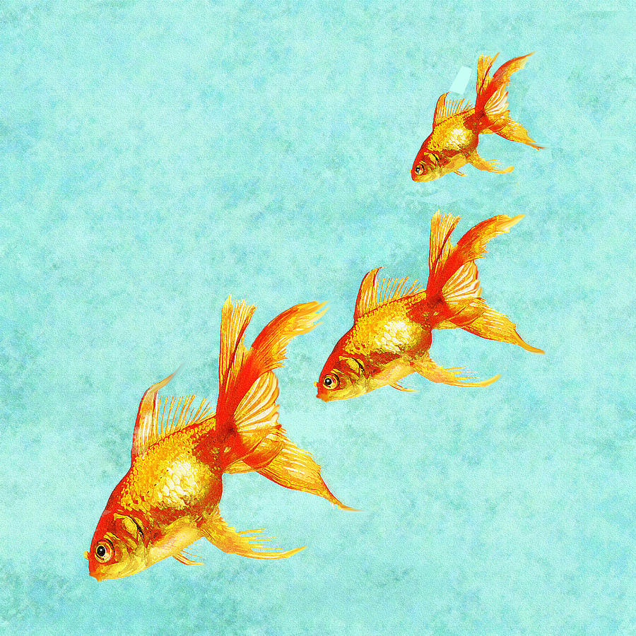 Fish Digital Art - Three Little Fishes by Jane Schnetlage