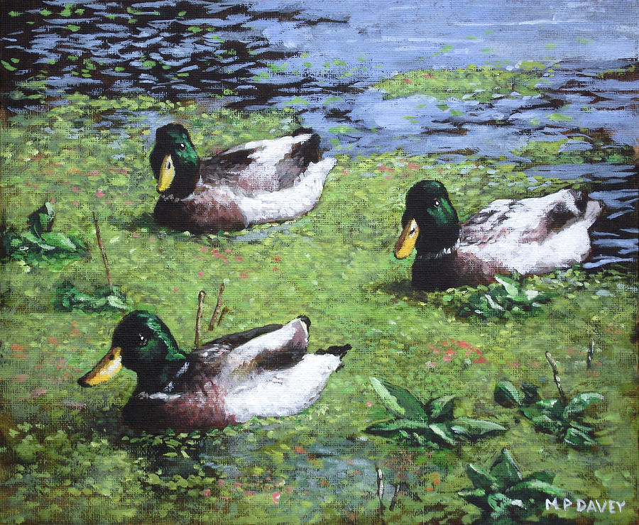 Bird Painting - Three Mallard Ducks In Pond by Martin Davey