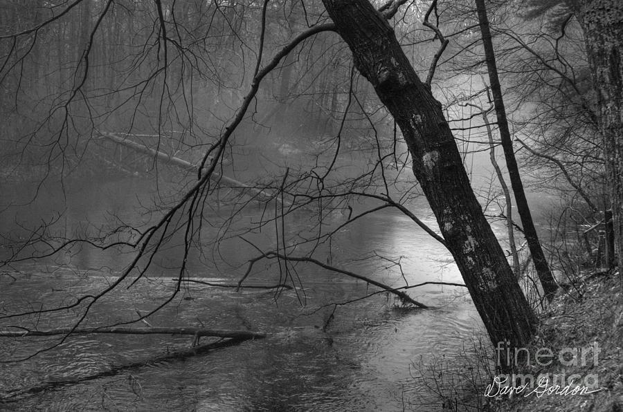 Three Mile River Photograph by David Gordon