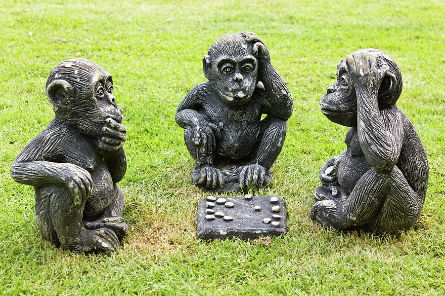 Checkers Photograph - Three monkeys playing checkers by Tosporn Preede