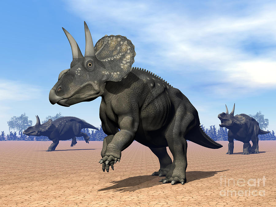 Three Dimensional Digital Art - Three Nedoceratops In The Desert by Elena Duvernay Three Dimensional Digital Art - Three Nedoceratops In The Desert by Elena Duvernay
