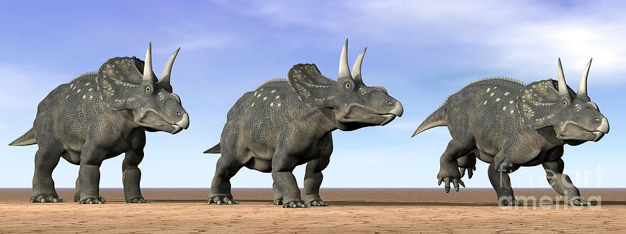 Dinosaur Digital Art - Three Nedoceratops Standing by Elena Duvernay