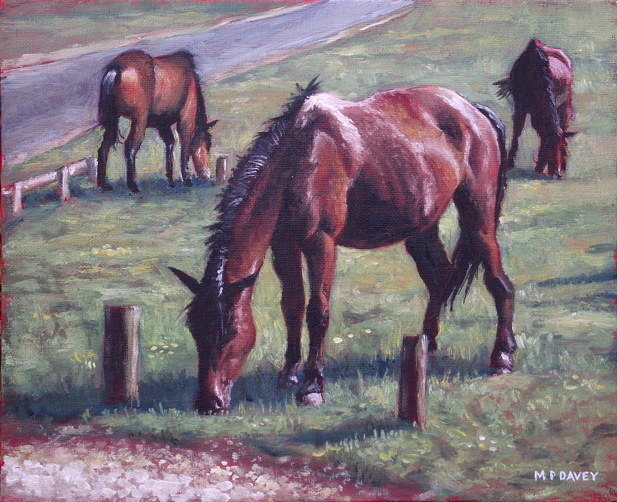 Three New Forest Horses On Grass Painting by Martin Davey